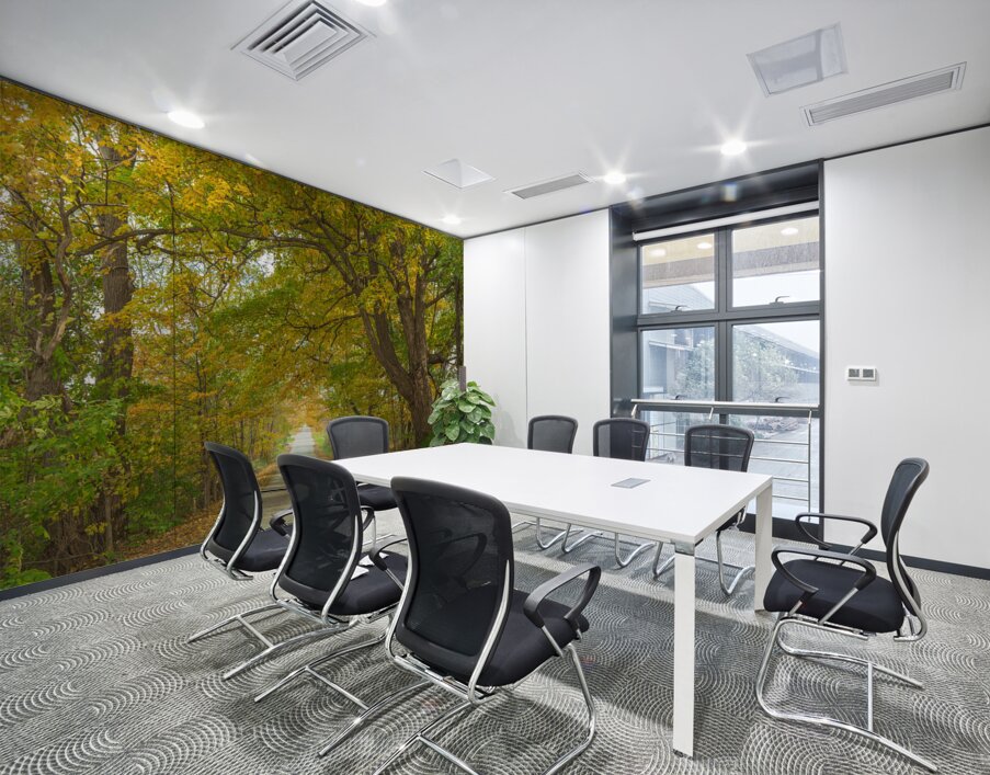 Rural Niagara Autumn Path Wall Printing