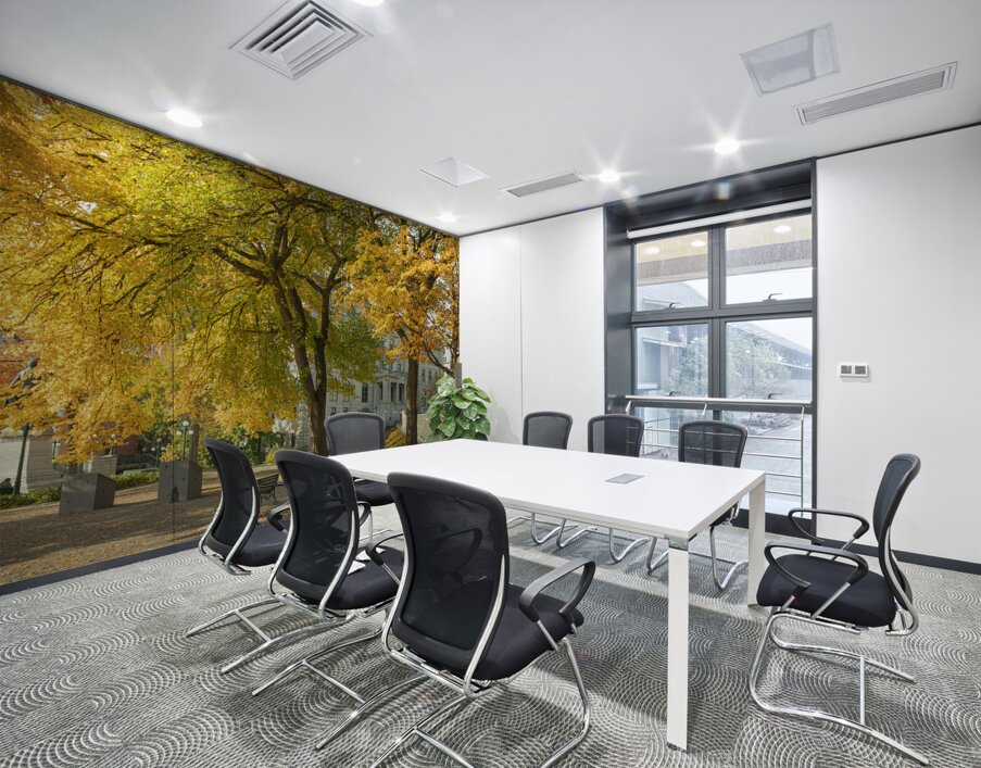 Autumn Splash in Quebec City Wall Printing