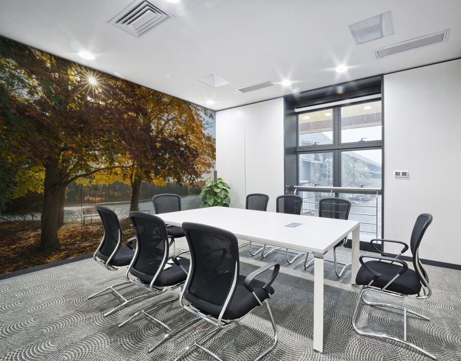 Eugenia Lake sunburst Wall Printing