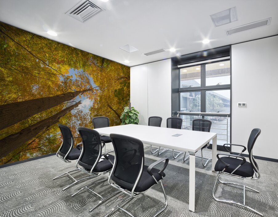 Forest Magical Autumn Glow Wall Printing