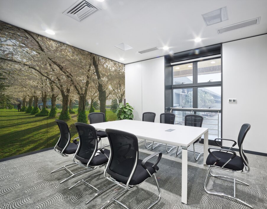 Spencer Park Cherry Blossom Splendor Wall Printing