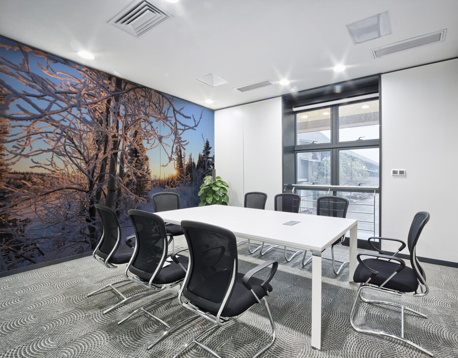 Winter Morning Frost Sunburst Wall Printing