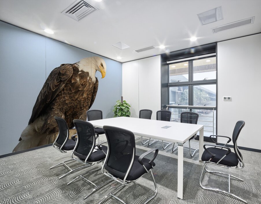 Bald Eagle portrait Wall Printing