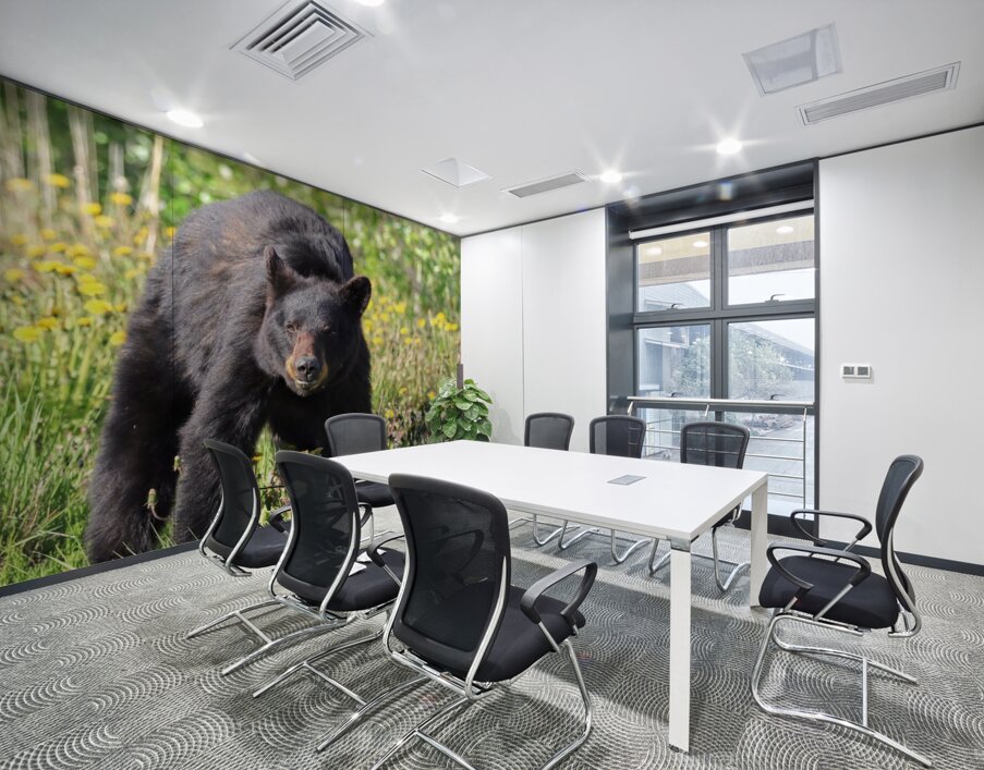 Black Bear Enjoying dandelions Wall Printing