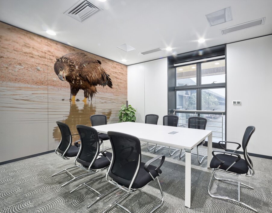 Juvenile Bald Eagle Reflection Wall Printing