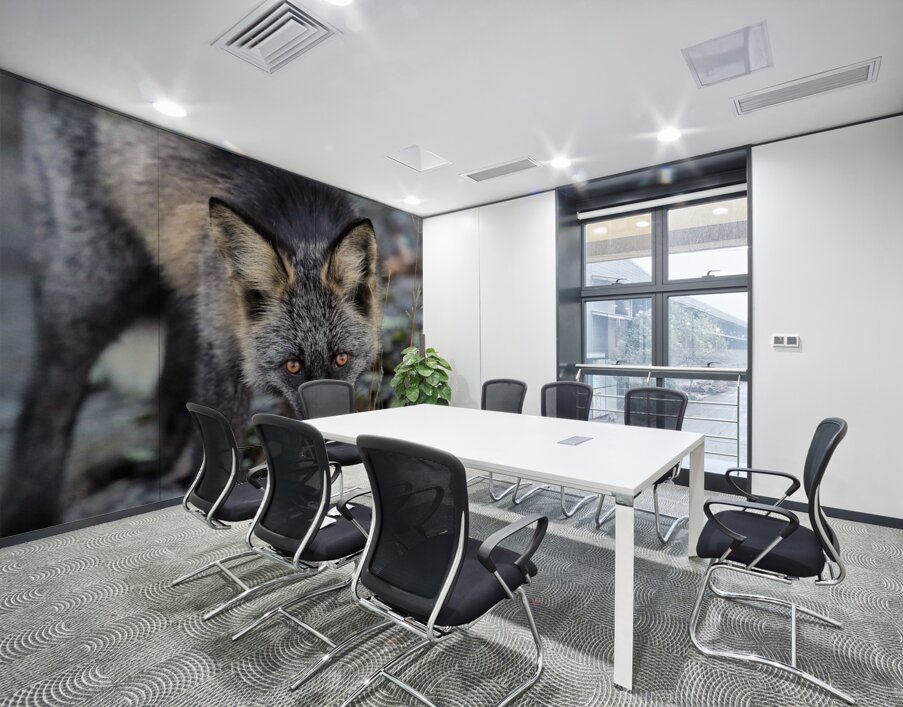 Fox Staredown Wall Printing