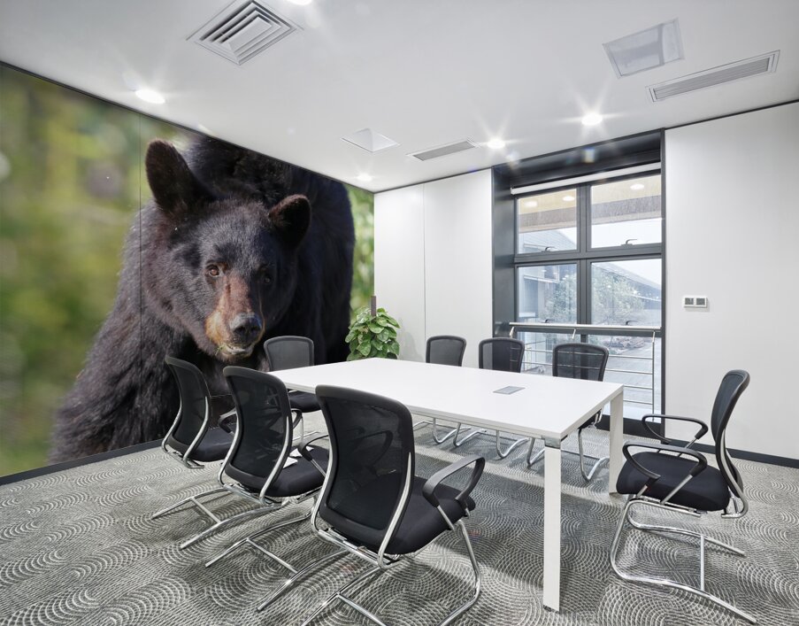 Black Bear Portrait Wall Printing