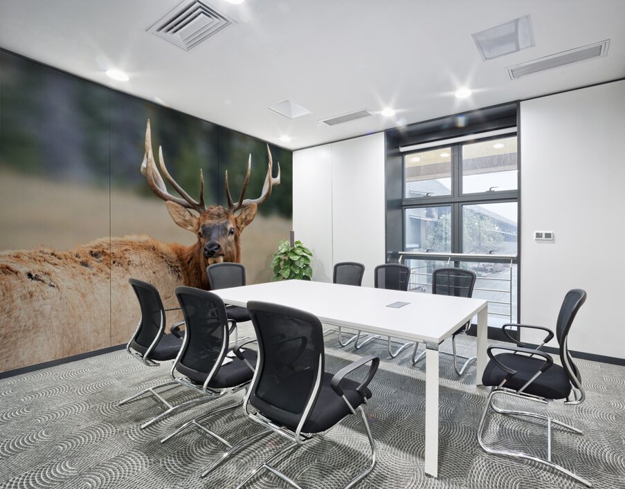 Elk Staredown Wall Printing