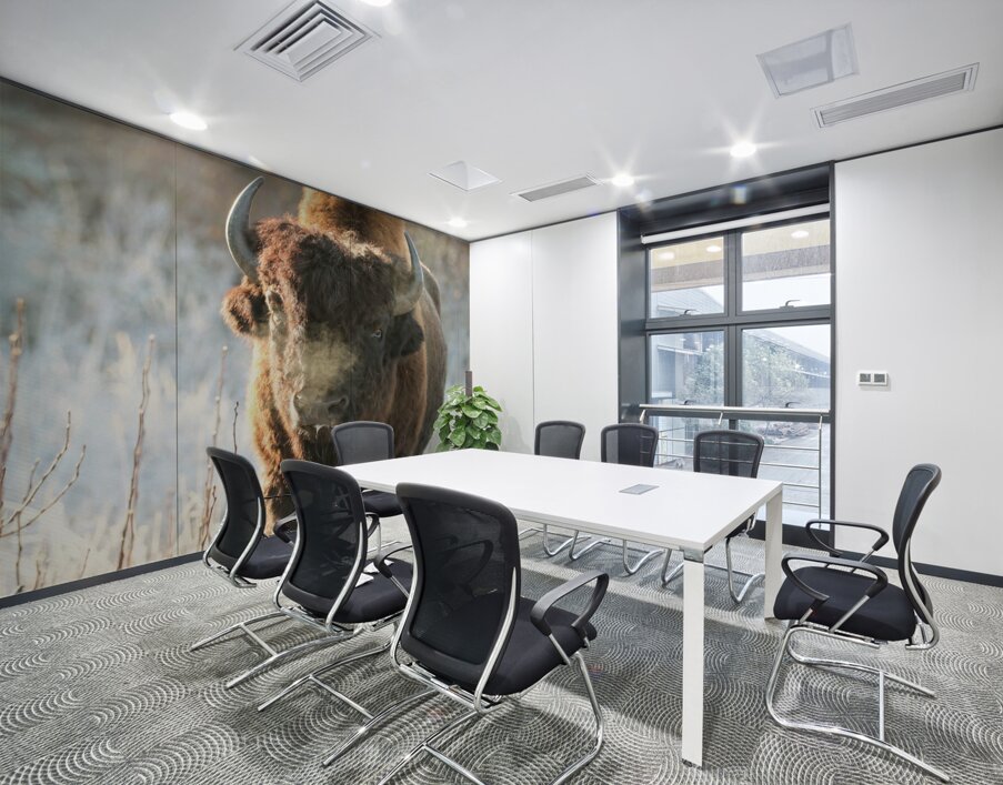 Wood Bison in Morning Frost Wall Printing