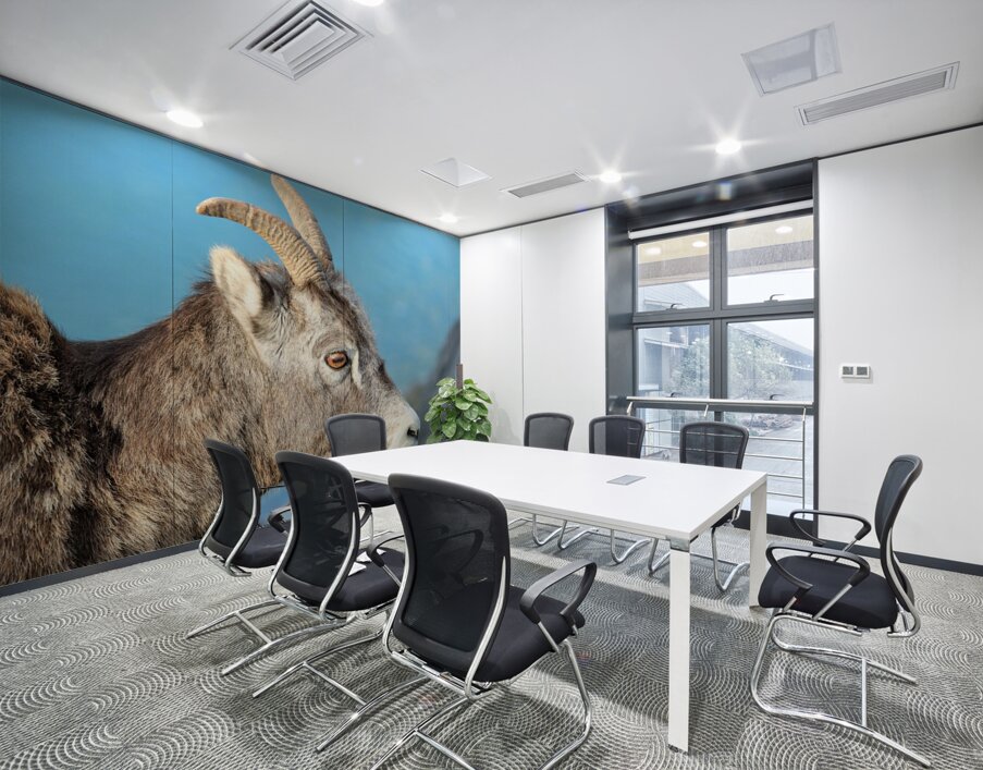 Mountain Ram Portrait Wall Printing