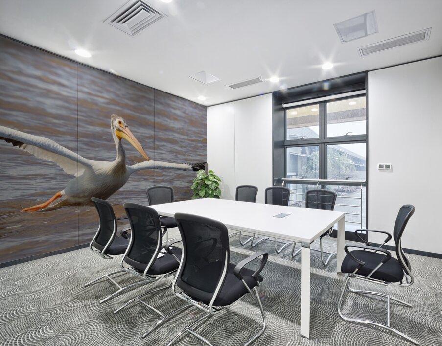 Pelican Takeoff Wall Printing