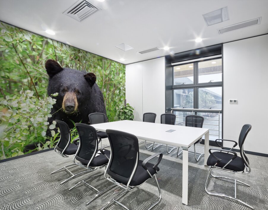 Black Bear Eating Wall Printing