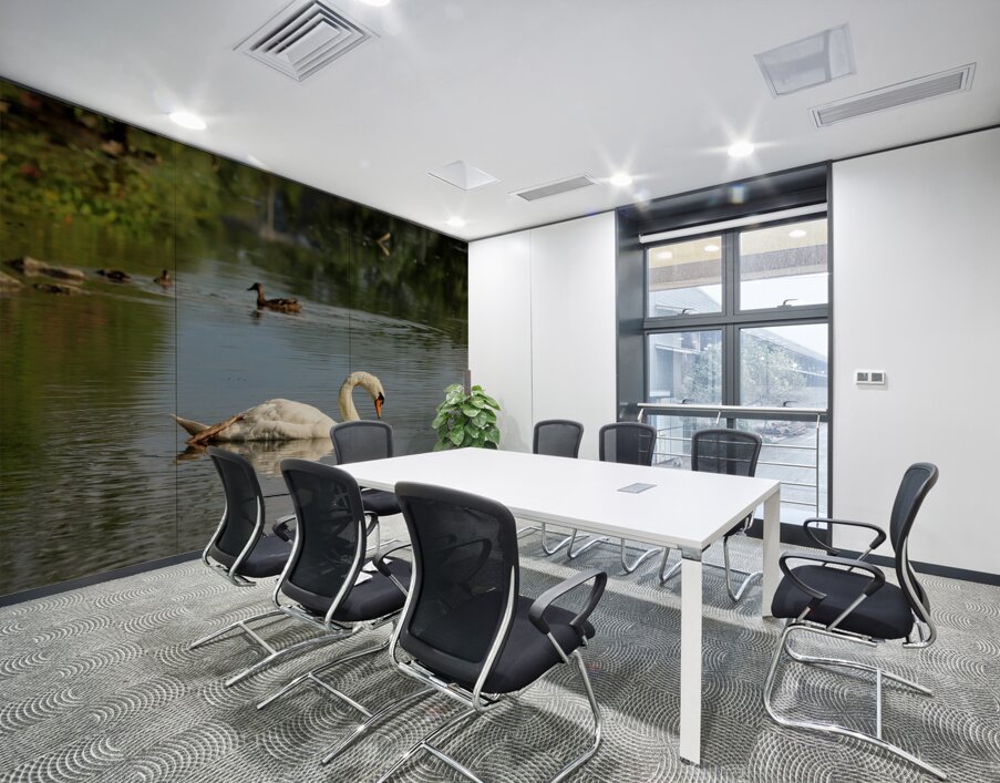 Swan Mirror reflections Wall Printing