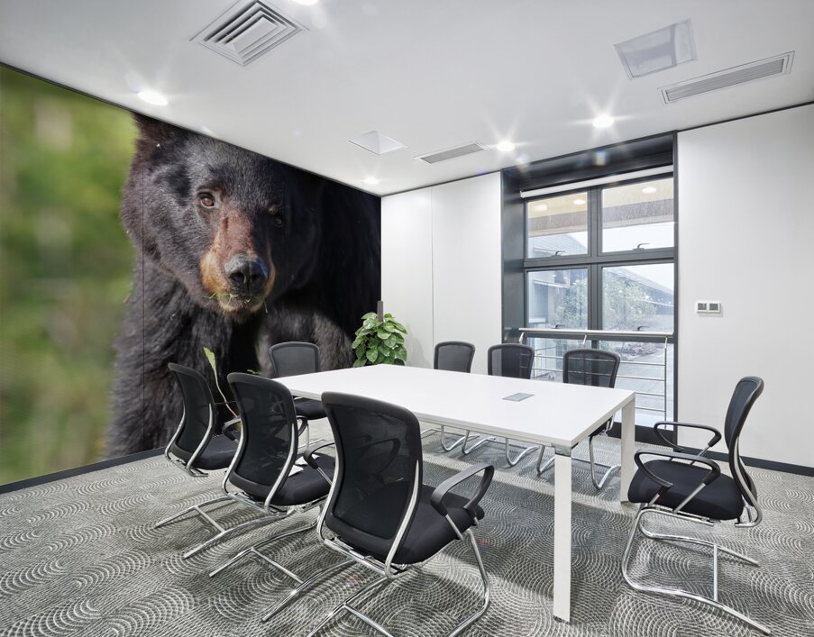 Black Bear Staredown Wall Printing