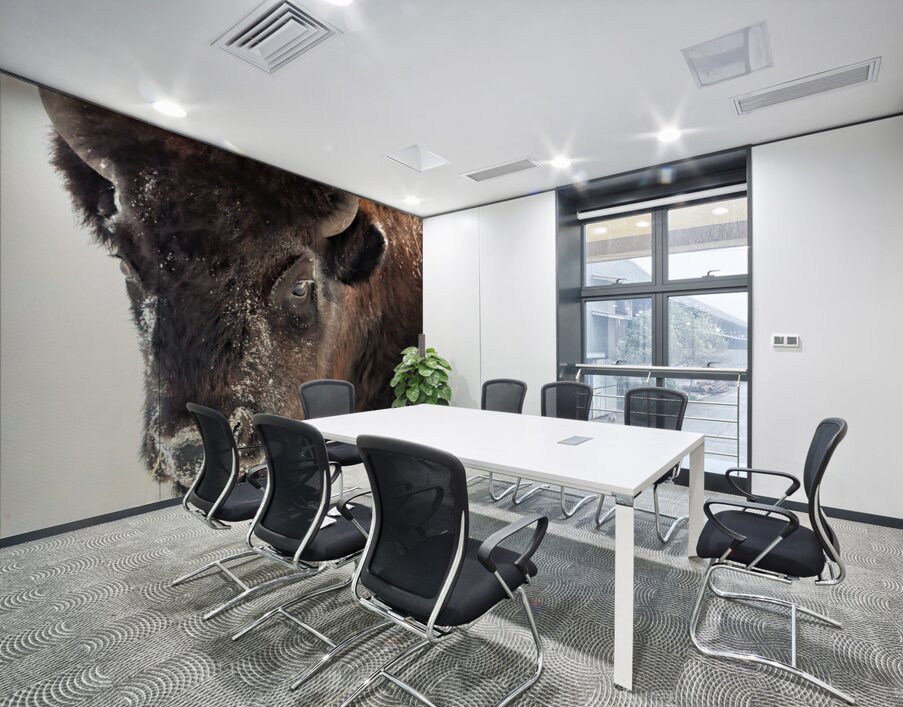 Winter Bison Portrait Wall Printing