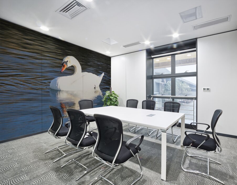 Summer Swan Reflection Wall Printing