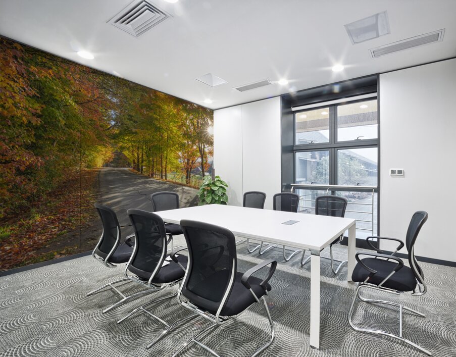 Autumn Road Morning Glow Wall Printing