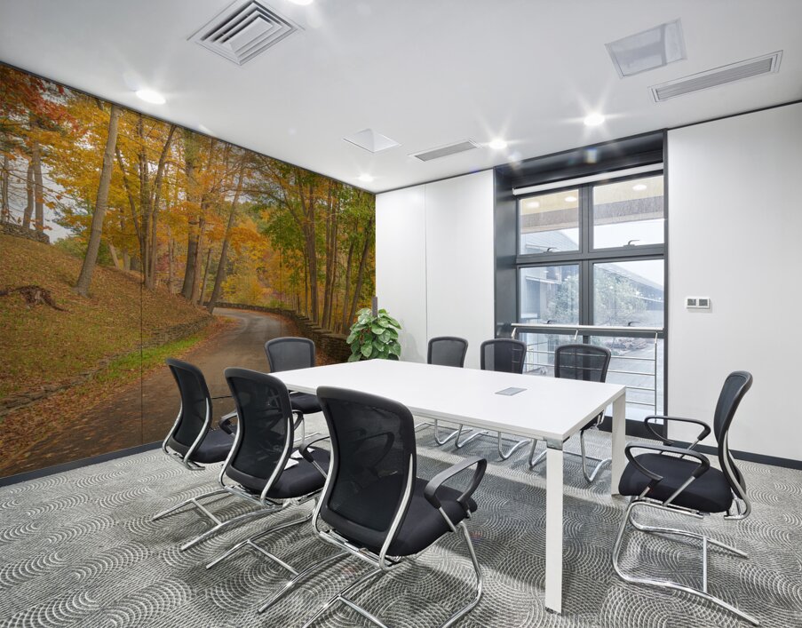 Letchworth Autumn Road to Paradise Wall Printing