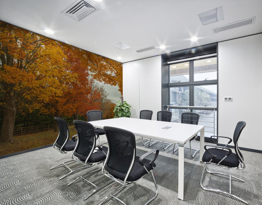 Rural Autumn Road Splendor  Wall Printing