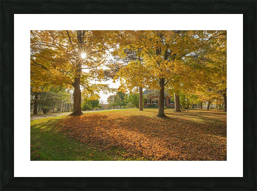 Autumn Glow Picture Frame print