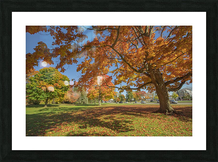 Niagara falls Autumn Magic Picture Frame print
