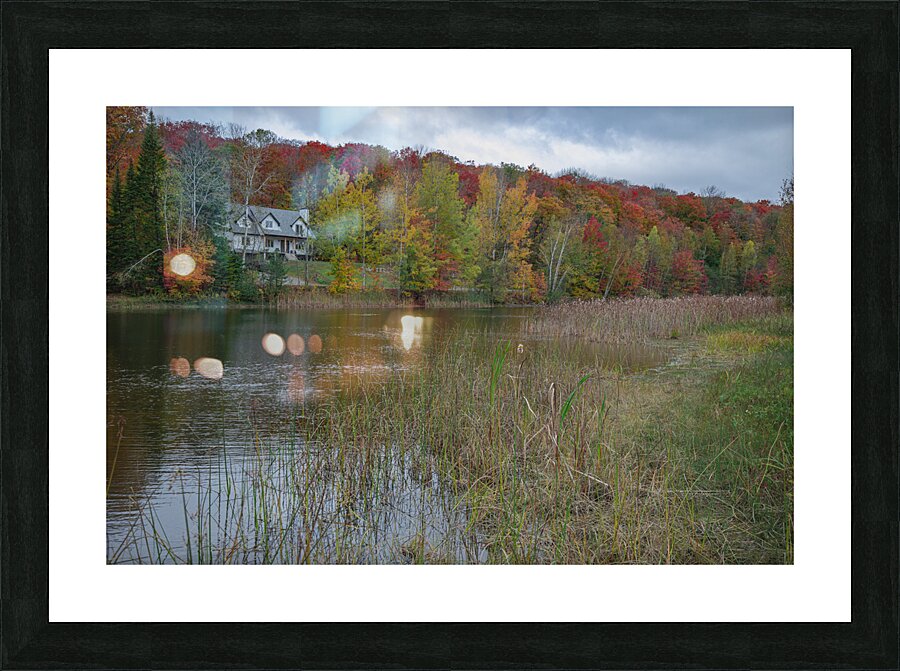 Saint Sophie Autumn Vibrancy Picture Frame print
