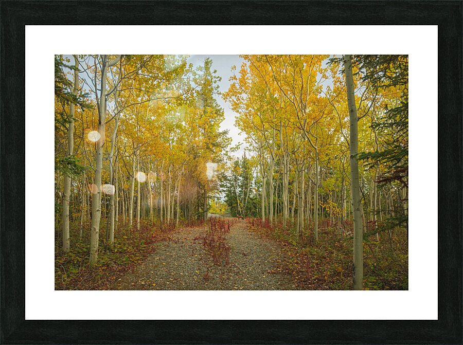 Northern Autumn Serenity Picture Frame print