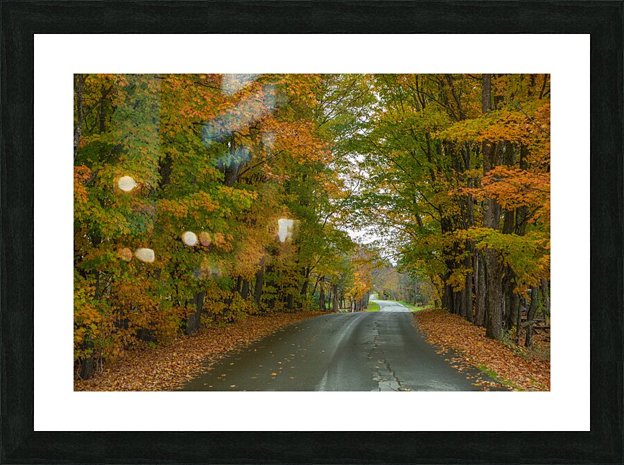 Colebrook Autumn Road Picture Frame print