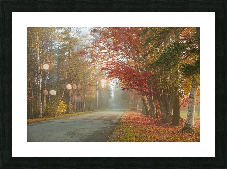 Foggy Morning Autumn Road Picture Frame print