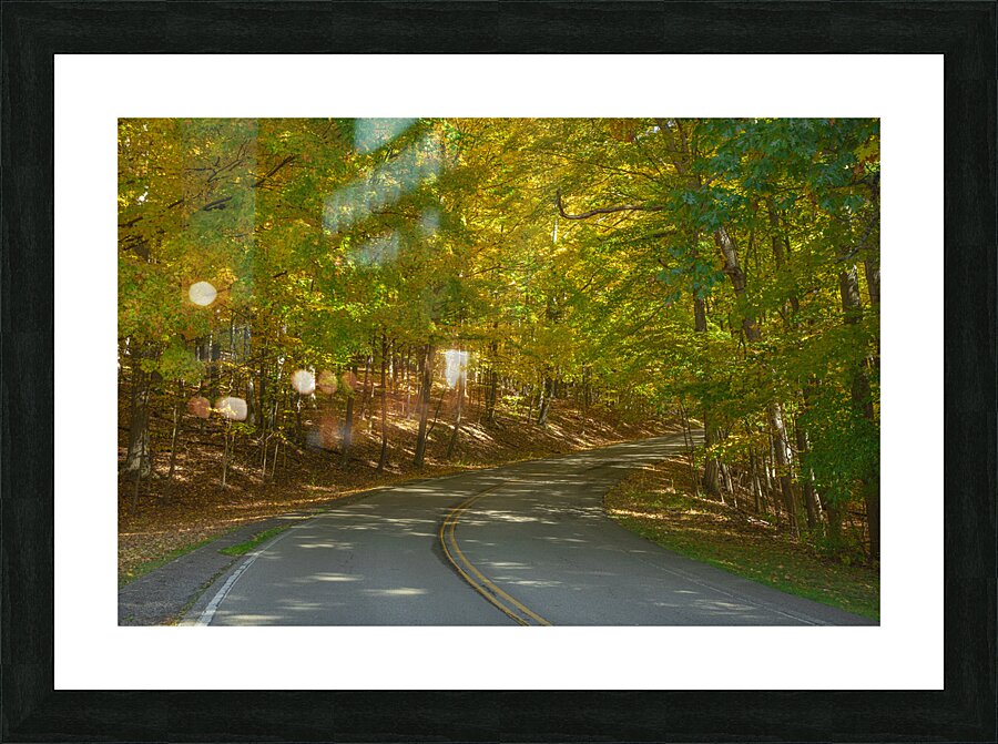 Letchworth Autumn Tree Tunnel Glow Picture Frame print