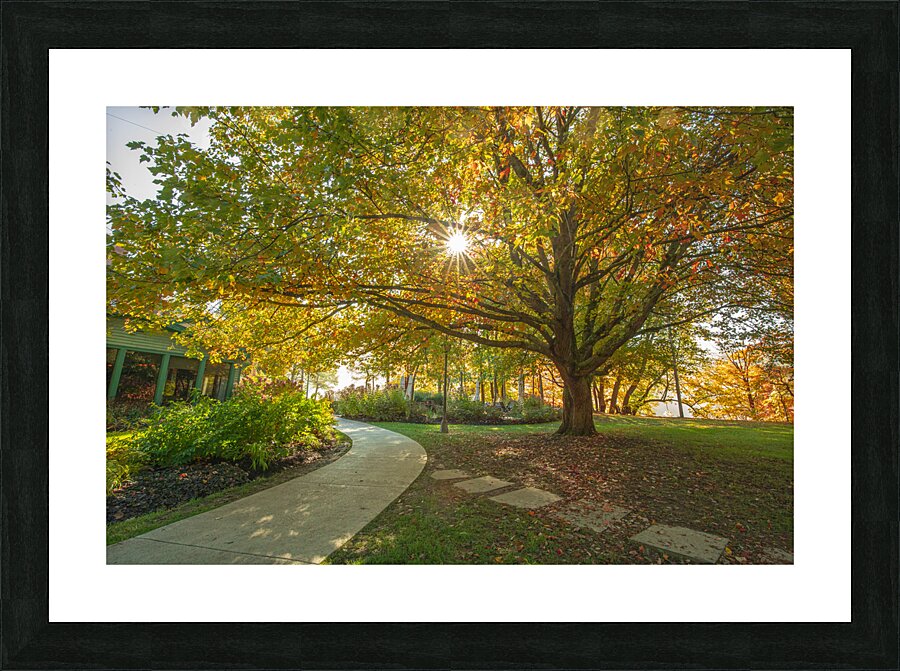 Letchworth Autumn Glow Picture Frame print