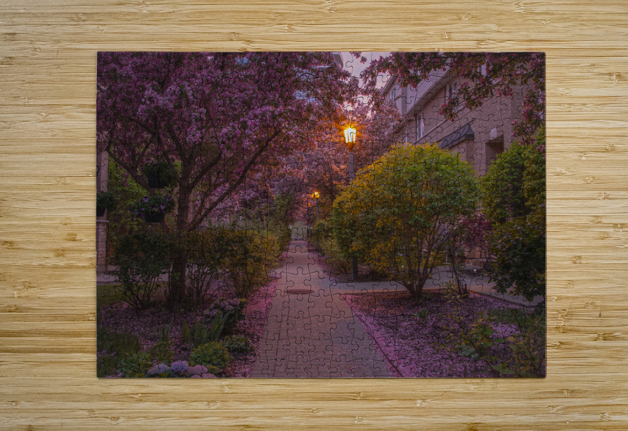 Crab apple blossom pathway Daniel Pekar Photography Puzzle printing