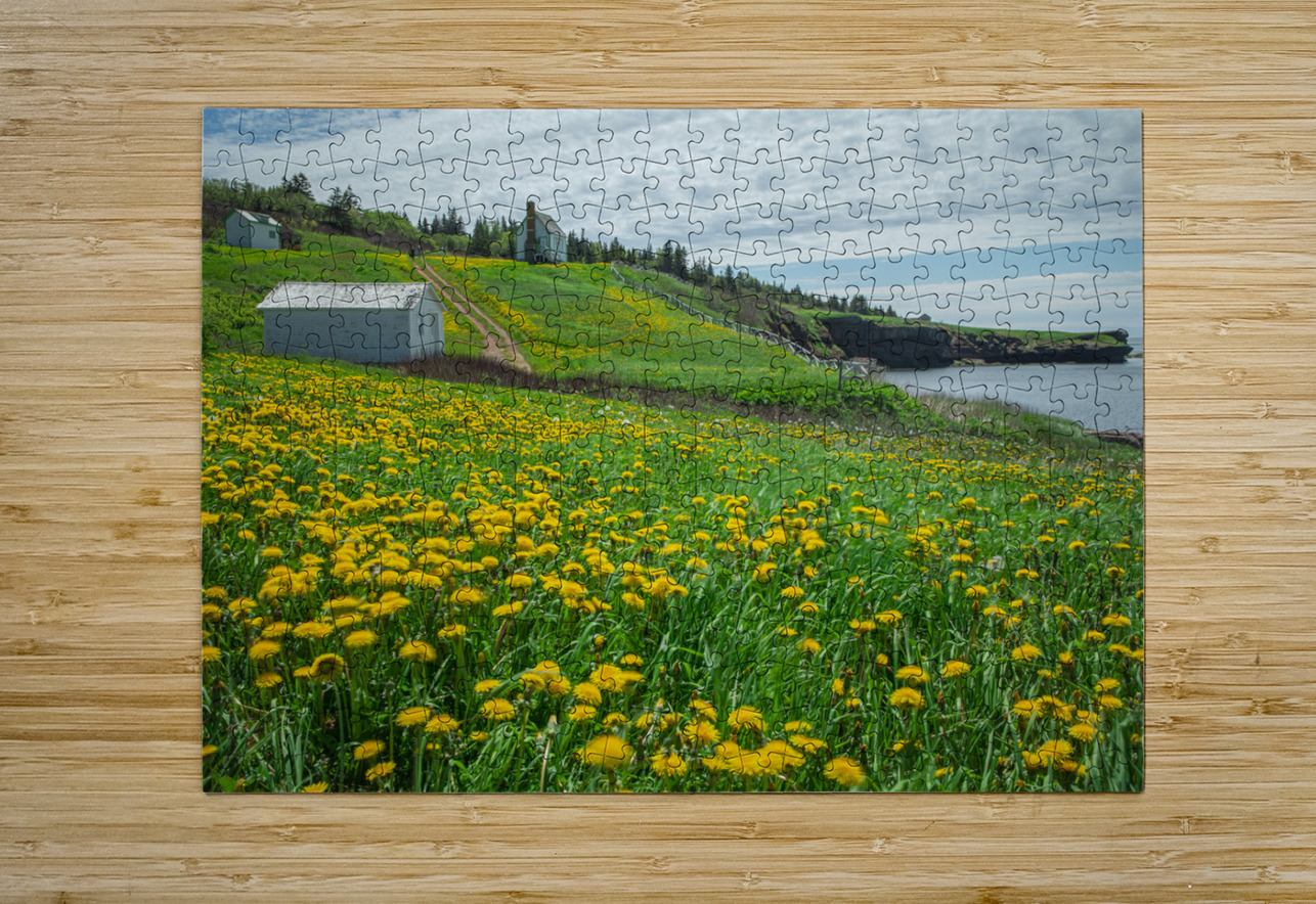 Bonaventure Dandelion Carpet Daniel Pekar Photography Puzzle printing