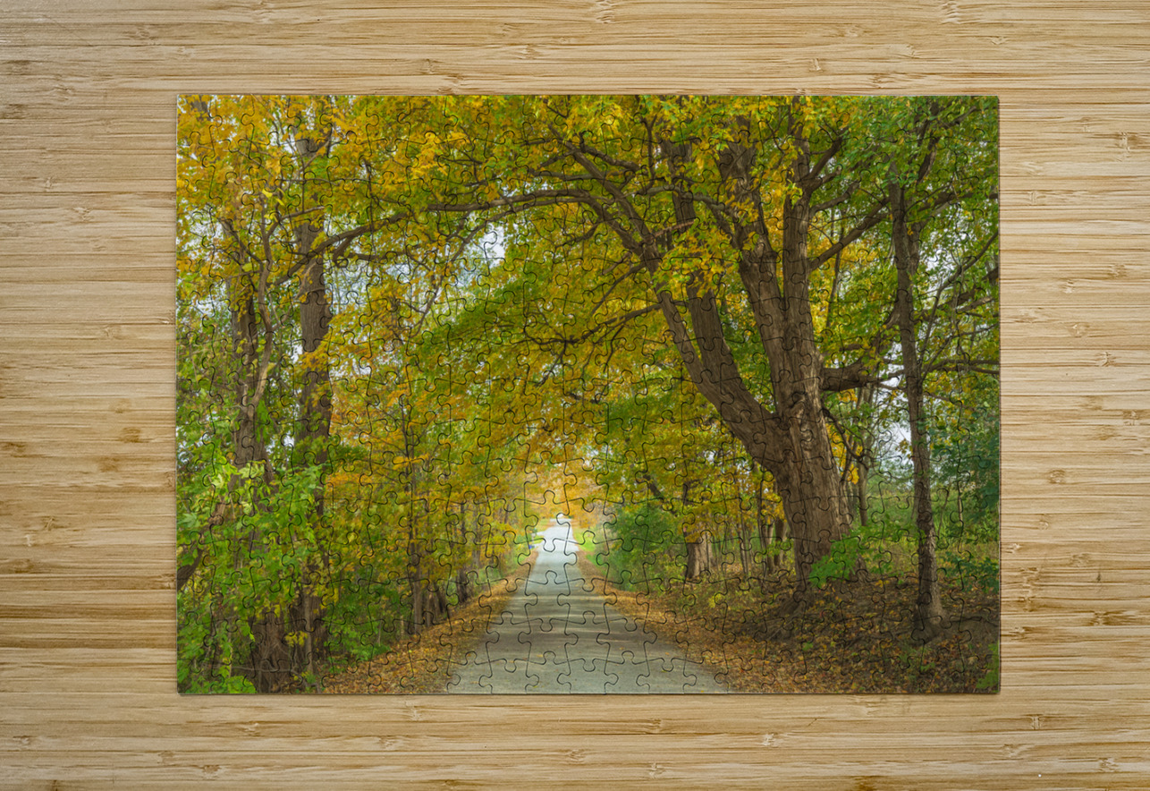 Rural Niagara Autumn Path Daniel Pekar Photography Puzzle printing