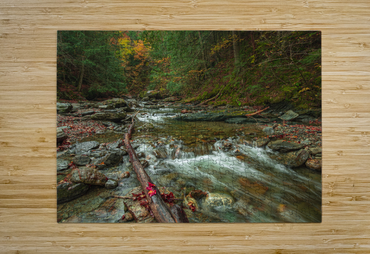 Autumn Forest Stream Daniel Pekar Photography Puzzle printing