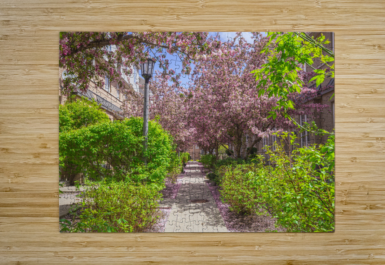 Dreamy Spring Path Daniel Pekar Photography Puzzle printing