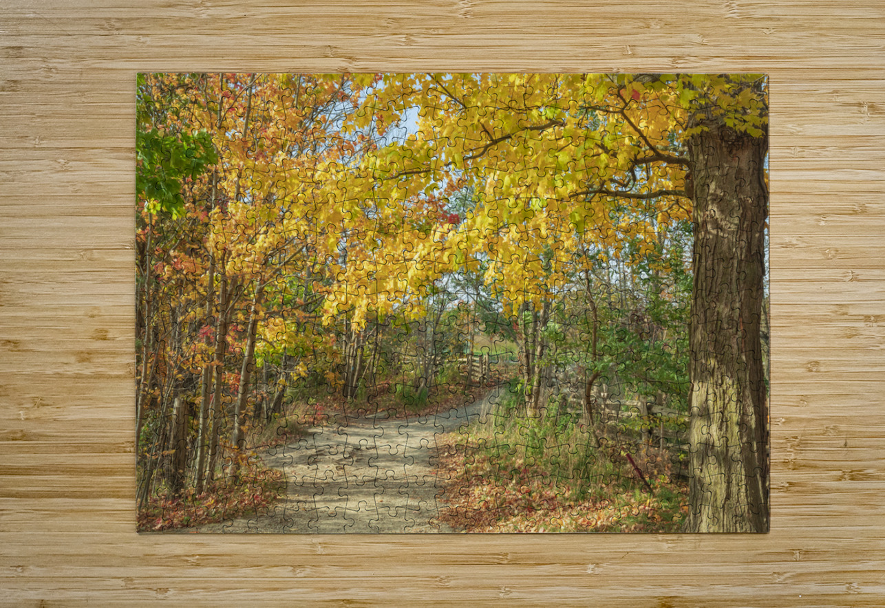 Decew Falls Autumn Trail Daniel Pekar Photography Puzzle printing