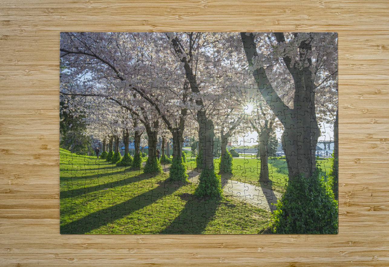 Morning Spring Freshness Daniel Pekar Photography Puzzle printing