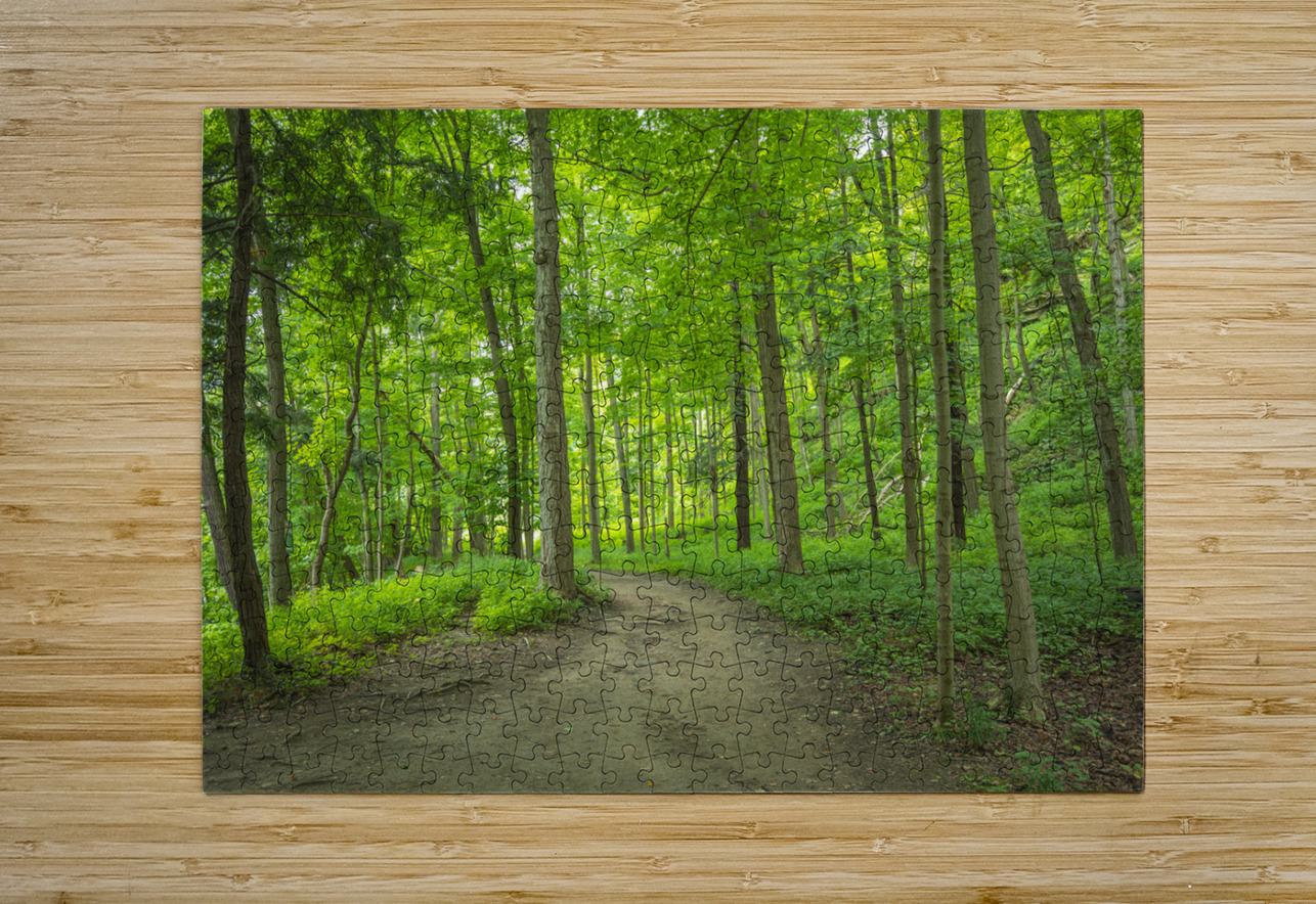 Summer fresh forest glow Daniel Pekar Photography Puzzle printing
