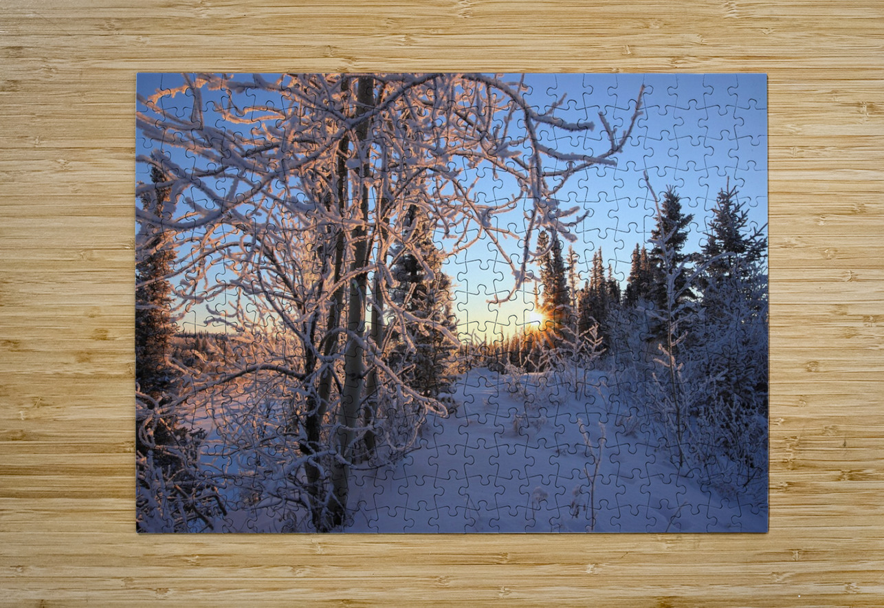 Winter Morning Frost Sunburst Daniel Pekar Photography Puzzle printing