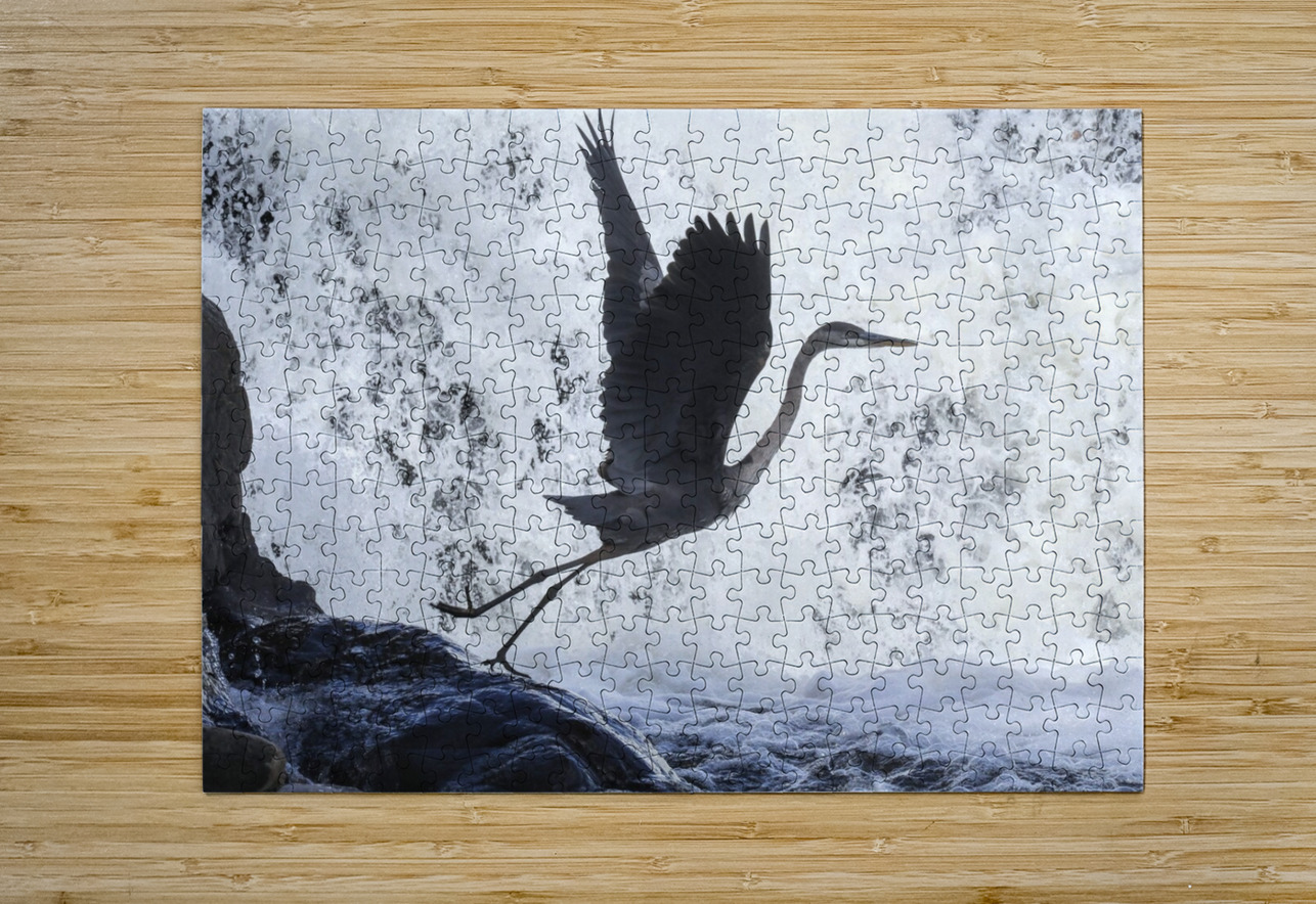 Blue Heron flight Takeoff Daniel Pekar Photography Puzzle printing