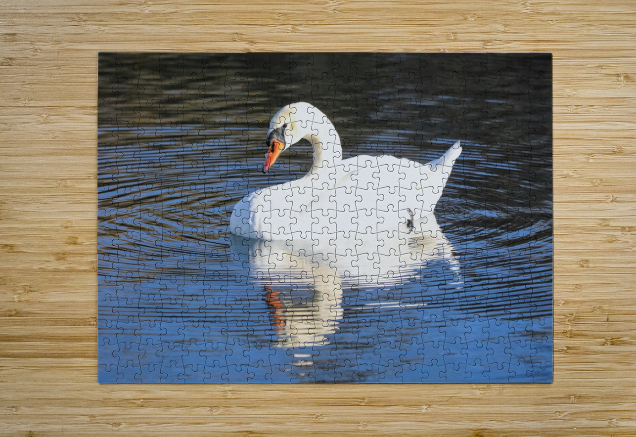 Summer Swan Reflection Daniel Pekar Photography Puzzle printing