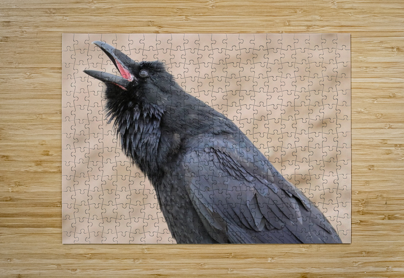 Raven singing Daniel Pekar Photography Puzzle printing