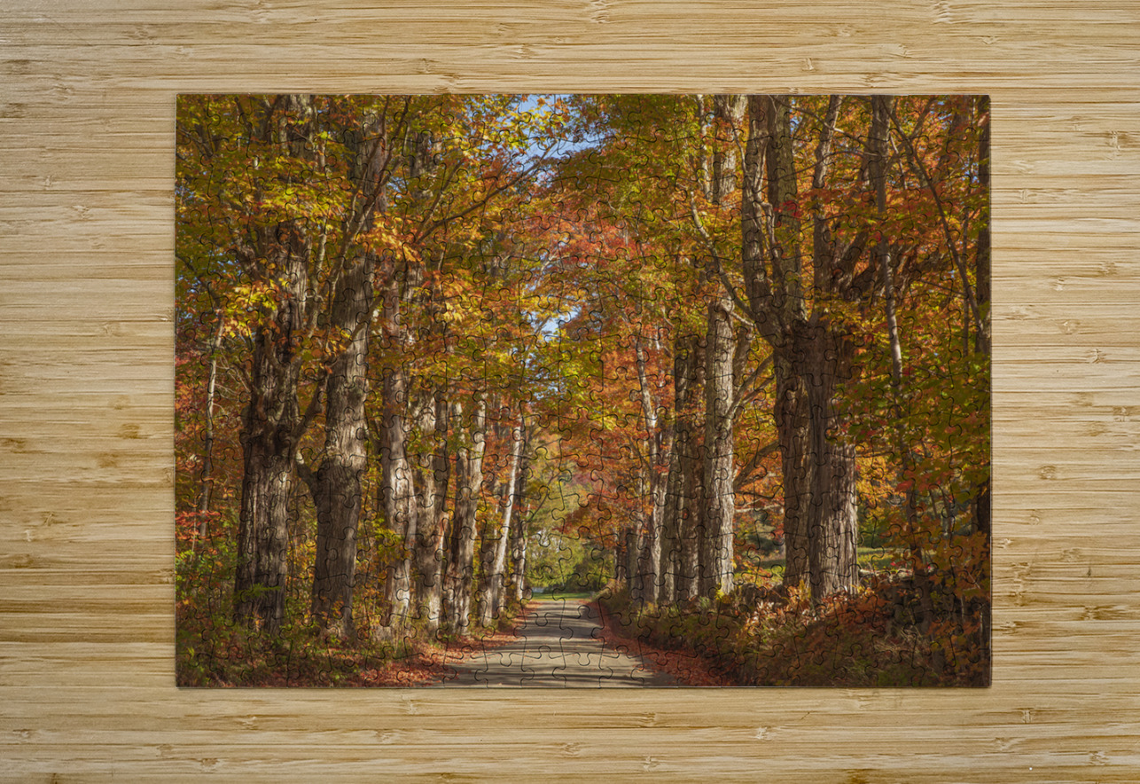 Lovers Lane Autumn Splendor Daniel Pekar Photography Puzzle printing