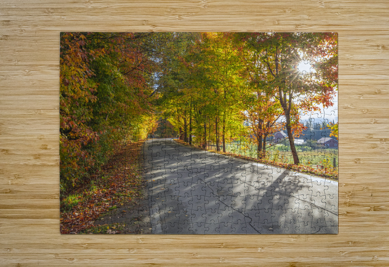 Autumn Road Morning Glow Daniel Pekar Photography Puzzle printing