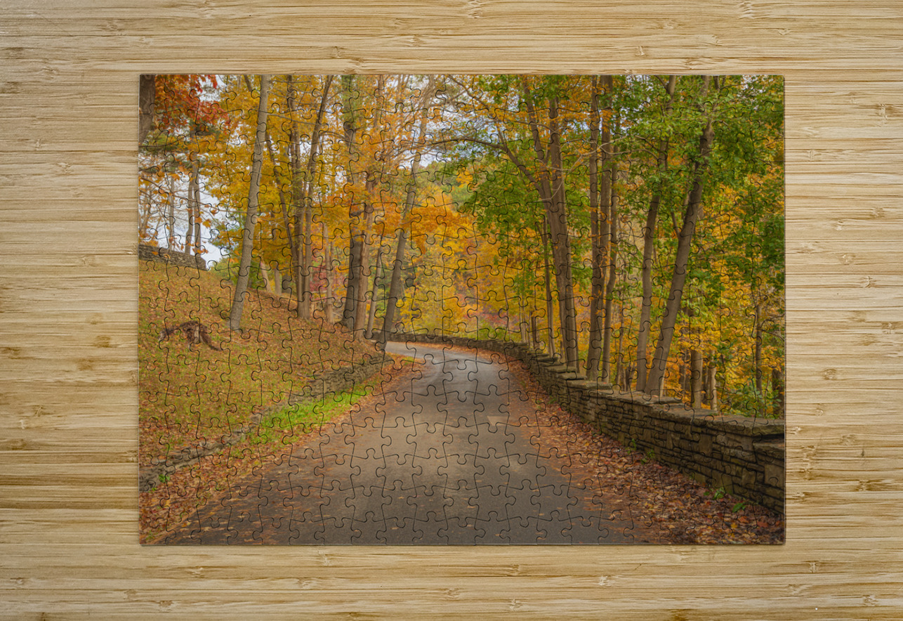 Letchworth Autumn Road to Paradise Daniel Pekar Photography Puzzle printing