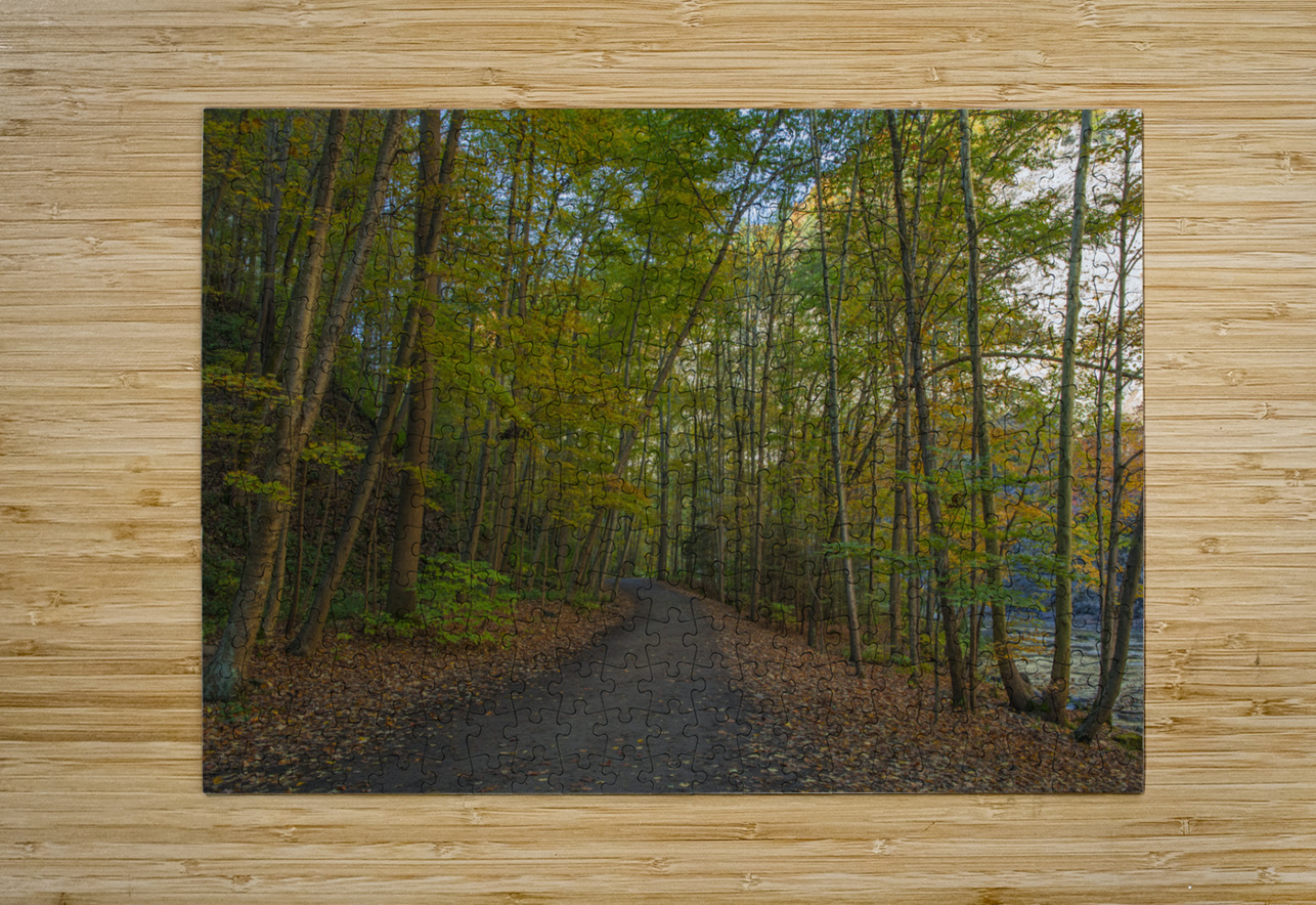 Taughannock Falls Forest Trail Daniel Pekar Photography Puzzle printing