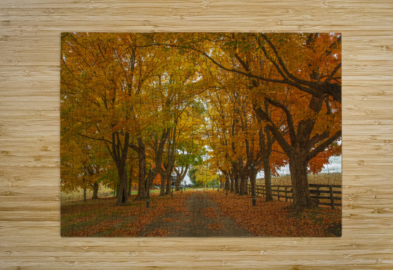 Enchanted Autumn Wonderland Pathway  Daniel Pekar Photography Puzzle printing