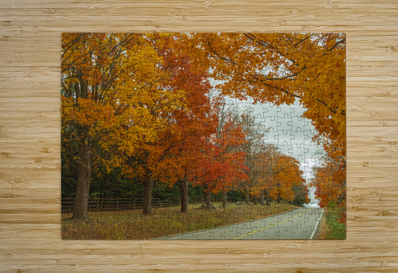 Rural Autumn Road Splendor  Daniel Pekar Photography Puzzle printing