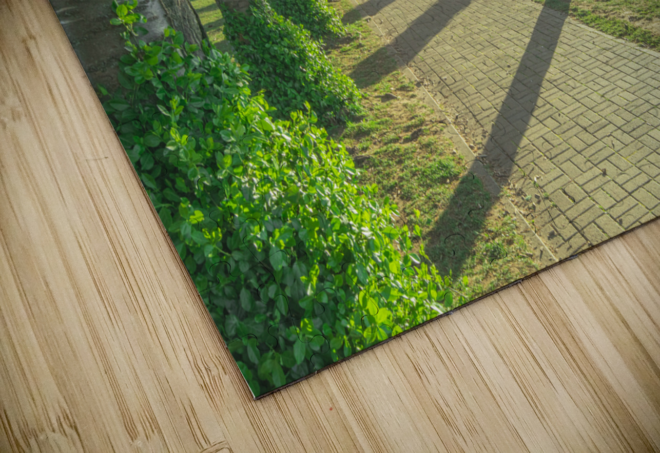 Cherry Blossom Pathway Daniel Pekar Photography Puzzle